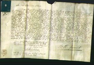 Court of Common Pleas - Jane Haselton-Original Ancestry