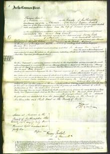 Court of Common Pleas - Jane Guyatt-Original Ancestry