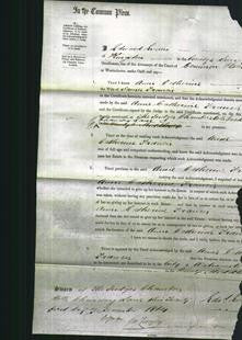 Court of Common Pleas - Anne Catherine Francis-Original Ancestry