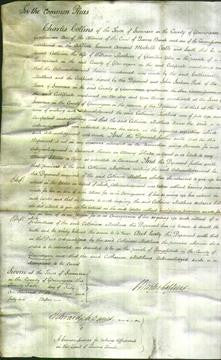 Court of Common Pleas - Catherine Matthews-Original Ancestry