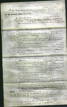 Court of Common Pleas - Charlotte Adelaide Lees-Original Ancestry