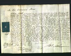 Court of Common Pleas - Martha Atkins-Original Ancestry