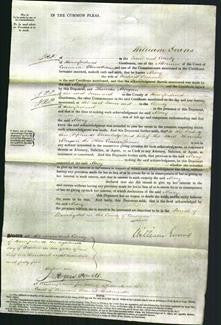 Court of Common Pleas - Mary Ormond-Original Ancestry