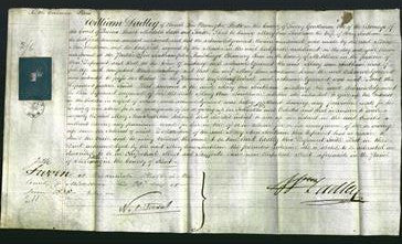 Court of Common Pleas - Mary Ann Southam-Original Ancestry