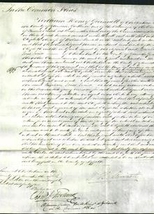 Court of Common Pleas - Elizabeth Pounsett-Original Ancestry