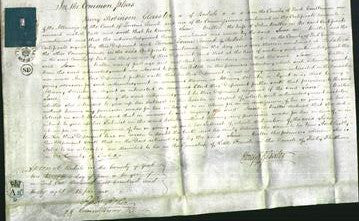 Court of Common Pleas - Jane Walker-Original Ancestry