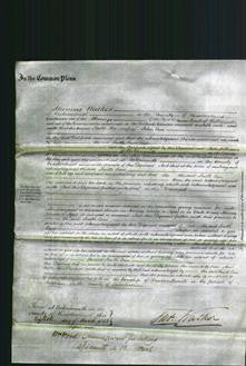 Court of Common Pleas - Faith Cass-Original Ancestry