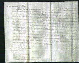 Court of Common Pleas - Mary Ann Baggaley-Original Ancestry