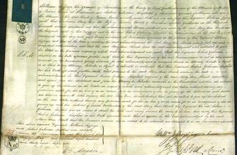 Court of Common Pleas - Mary Ann Straits-Original Ancestry