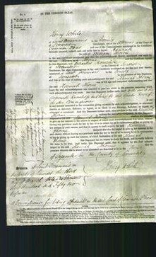 Court of Common Pleas - Hannah Thomas-Original Ancestry