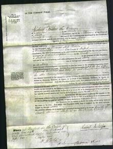 Court of Common Pleas - Mary Cotton-Original Ancestry