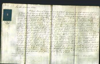 Court of Common Pleas - Ellen Johnson-Original Ancestry