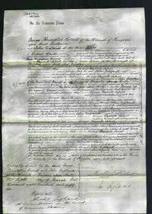 Court of Common Pleas - Elizabeth Lapish-Original Ancestry