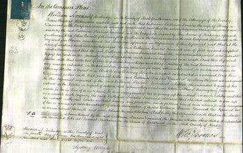 Court of Common Pleas - Frances Catherine Downard-Original Ancestry
