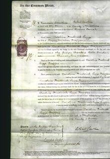 Court of Common Pleas - Caroline Frederick Legge Trappes-Original Ancestry