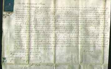 Court of Common Pleas - Sarah Clay-Original Ancestry