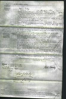 Court of Common Pleas - Sarah Mary Sophia Deedes-Original Ancestry