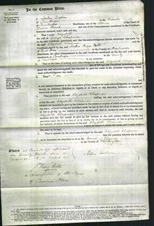 Court of Common Pleas - Elizabeth Chapman-Original Ancestry