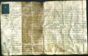 Court of Common Pleas - Mary Ann Adams and Frances Margaret Elvy-Original Ancestry