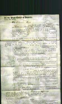 Court of Common Pleas - Mary Ann Lee-Original Ancestry