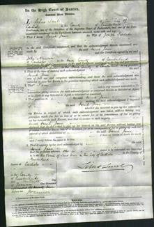 Court of Common Pleas - Sarah Jane Iredale-Original Ancestry