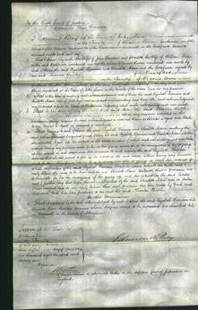 Court of Common Pleas - Elizabeth Harrison and Charlotte Nixon-Original Ancestry