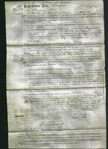 Court of Common Pleas - Esther Fearn-Original Ancestry