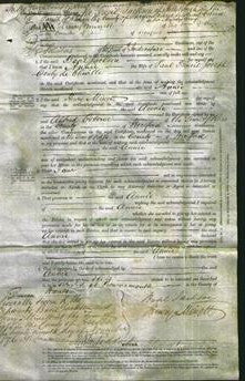 Court of Common Pleas - Annie Gouly de Chaville-Original Ancestry