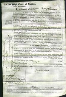 Court of Common Pleas - Mary Critchford-Original Ancestry