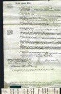 Court of Common Pleas - Ann Peak-Original Ancestry