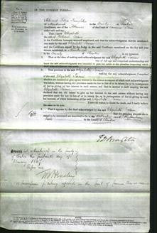 Court of Common Pleas - Elizabeth Perrin-Original Ancestry