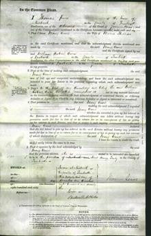 Court of Common Pleas - Mary Ann Phillips-Original Ancestry