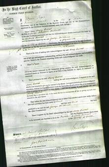 Court of Common Pleas - Mary Forrest Hartnoll-Original Ancestry