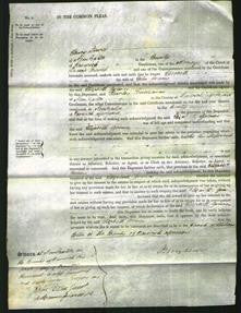 Court of Common Pleas - Elizabeth Grimes-Original Ancestry