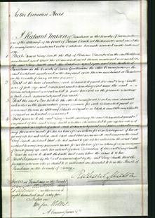 Court of Common Pleas - Lucy Smith Davenport-Original Ancestry