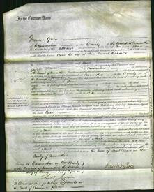 Court of Common Pleas - Anne Richards-Original Ancestry