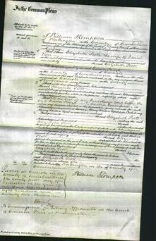 Court of Common Pleas - Elizabeth Scott Kerr-Original Ancestry