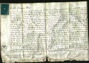 Court of Common Pleas - Elizabeth Martin-Original Ancestry