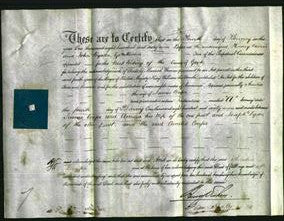 Deed by Married Women - Amelia Coupe-Original Ancestry
