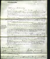 Court of Common Pleas - Emma Bryer-Original Ancestry