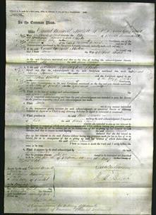 Court of Common Pleas - Ann Jarvis-Original Ancestry