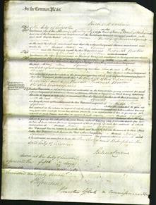 Court of Common Pleas - Mary Squire-Original Ancestry