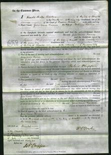 Court of Common Pleas - Jane Anne Farmer-Original Ancestry