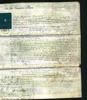 Court of Common Pleas - Mary Ann Dykes Cater-Original Ancestry