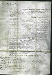 Court of Common Pleas - Jane Bonny-Original Ancestry