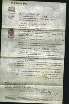 Court of Common Pleas - Elizabeth Tibbitts-Original Ancestry