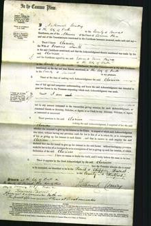 Court of Common Pleas - Clarissa Smith-Original Ancestry