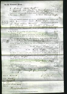 Court of Common Pleas - Maria Cooper-Original Ancestry