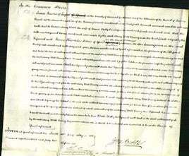 Court of Common Pleas - Mary Webb Vining-Original Ancestry