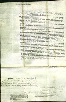 Court of Common Pleas - Hannah Ellingworth-Original Ancestry